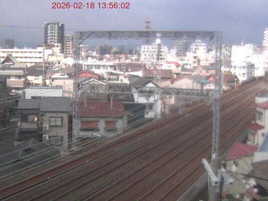 LiveCamera