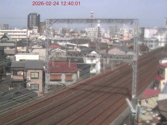 LiveCamera