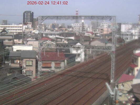 LiveCamera