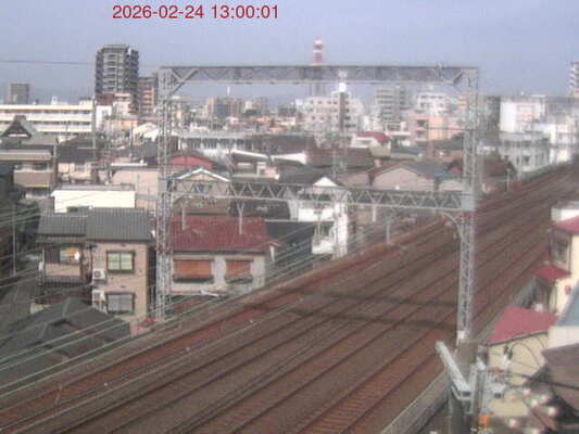 LiveCamera
