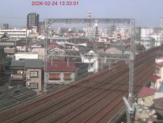 LiveCamera