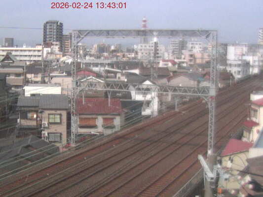 LiveCamera